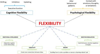 Outlining a novel psychometric model of mental flexibility and affect dynamics